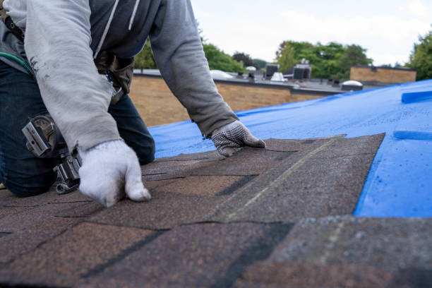Best Residential Roofing Contractor  in Altoona, WI
