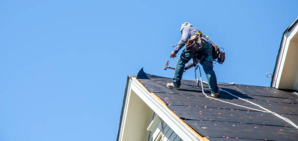 Best Roof Gutter Cleaning  in Altoona, WI